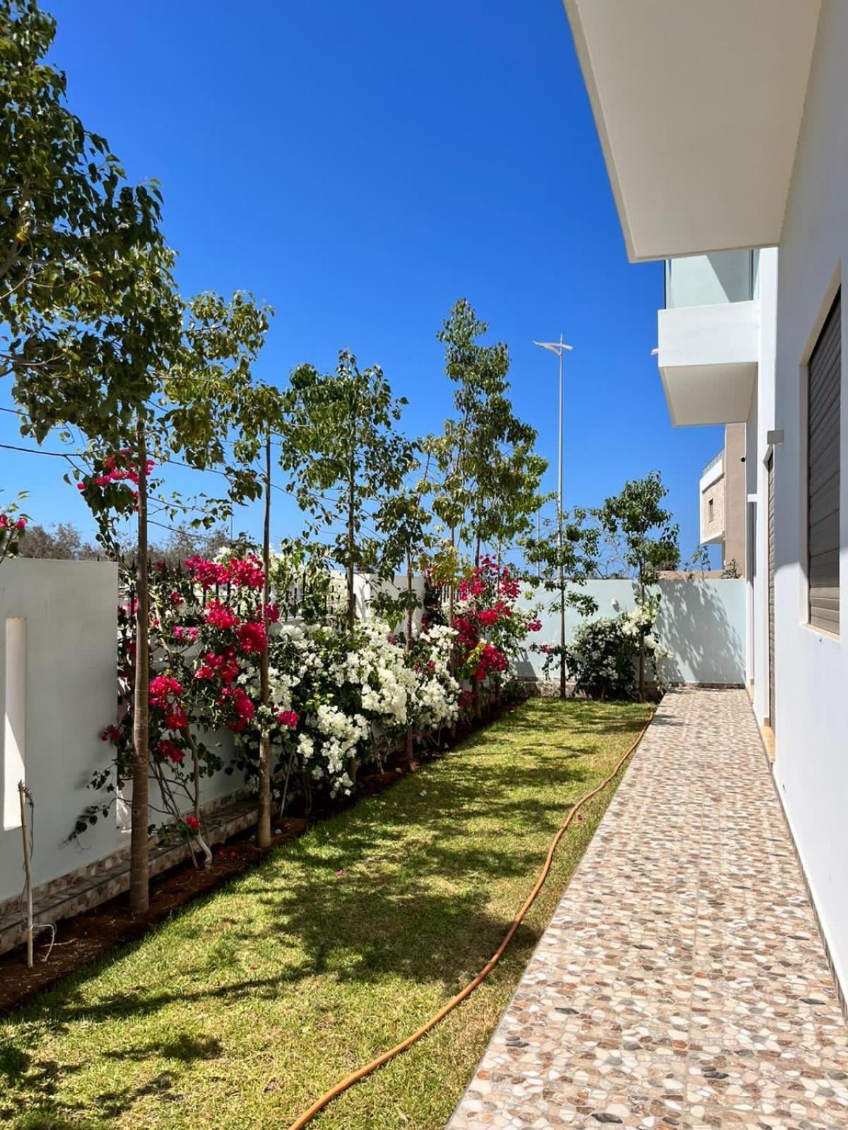 Villa Africa Essaouira Bagian luar foto